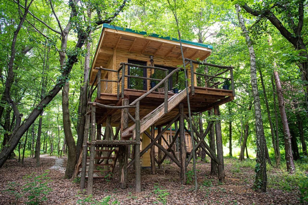 Living Forest Resort Моравске-Топлице Екстериор снимка