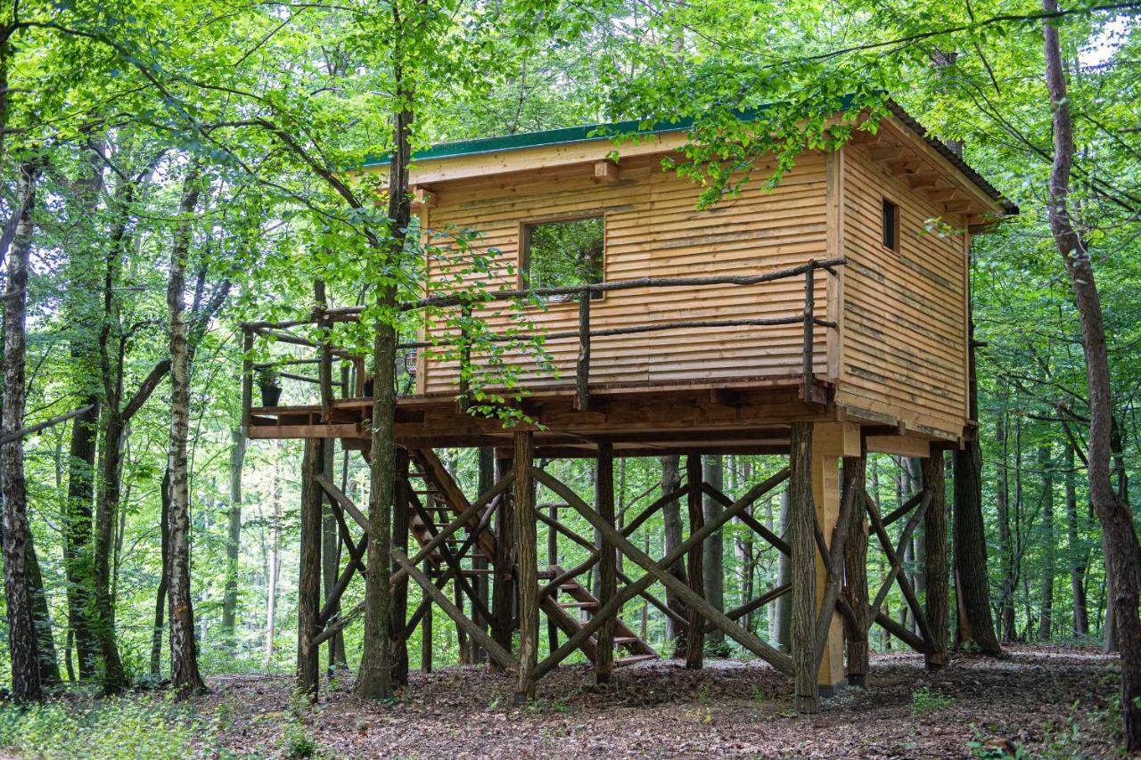 Living Forest Resort Моравске-Топлице Екстериор снимка