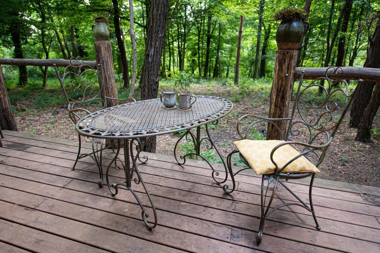 Living Forest Resort Моравске-Топлице Екстериор снимка