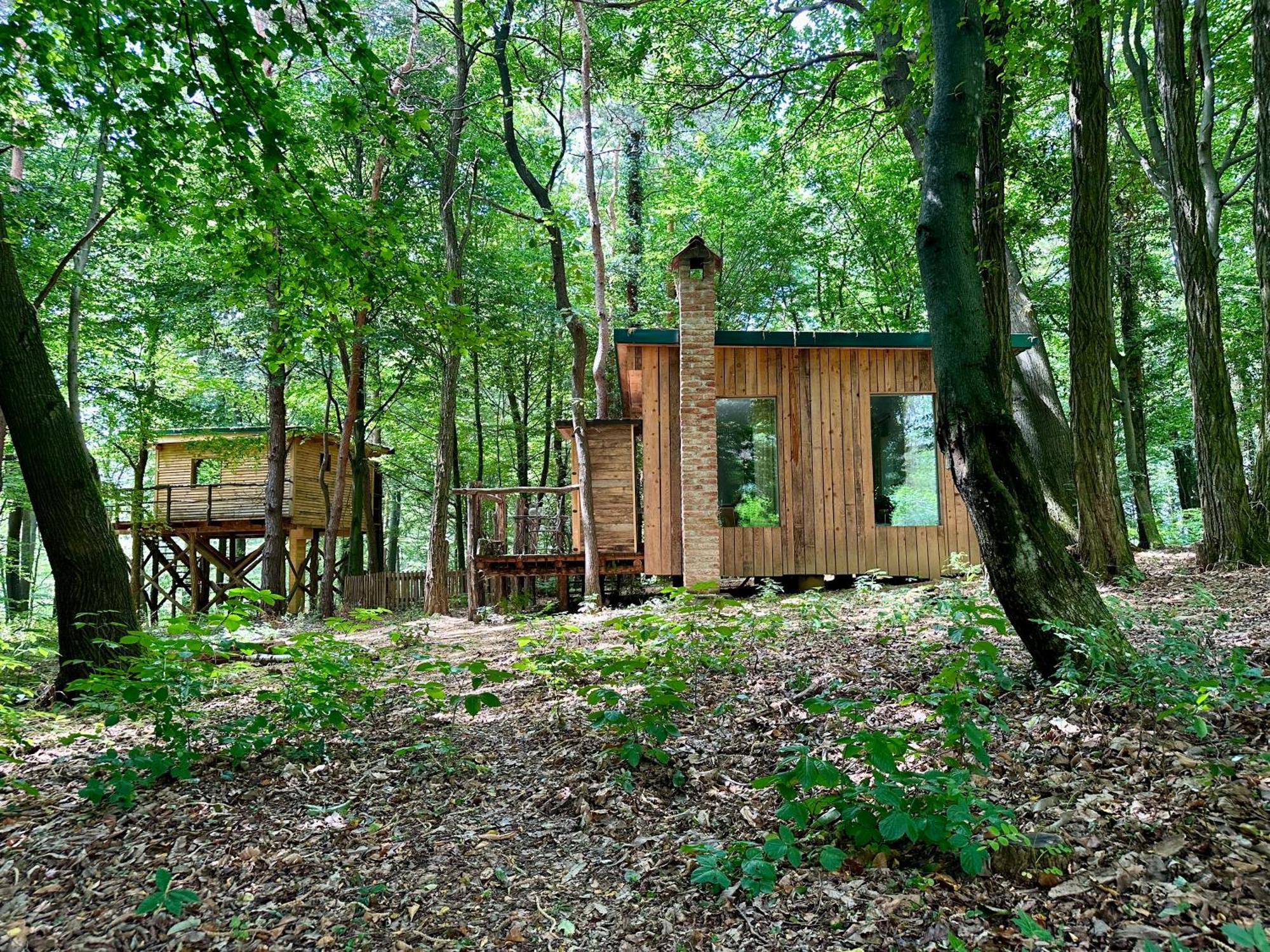 Living Forest Resort Моравске-Топлице Екстериор снимка